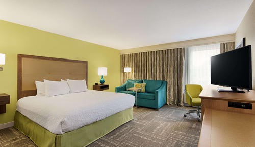 Room, 1 King Bed with Sofa bed, Accessible, Bathtub (Mobility & Hearing)