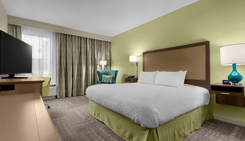 Room, 1 King Bed, Non Smoking
