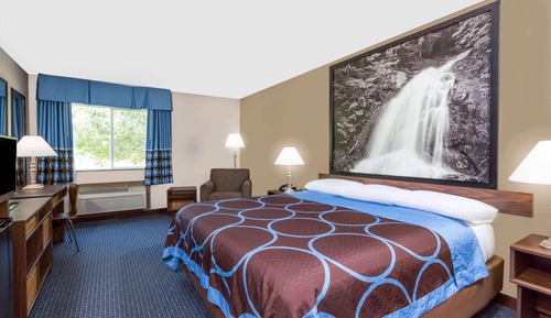 Room, 1 King Bed, Accessible, Non Smoking