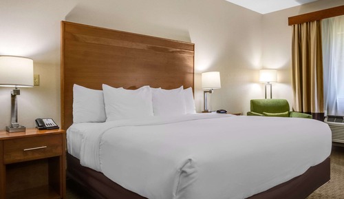 Room, 1 King Bed, Accessible, Non Smoking