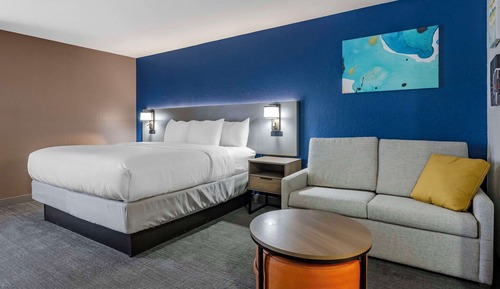 Standard Room, 1 King Bed, Non Smoking (1st Floor)