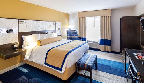 Room, 1 King Bed, Non Smoking, River View (Mobility Accessible, Tub)