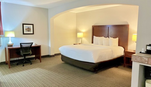 Premium Room, 1 King Bed, Non Smoking