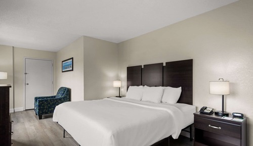 Room, 1 King Bed, Accessible, Non Smoking (Roll-In Shower)