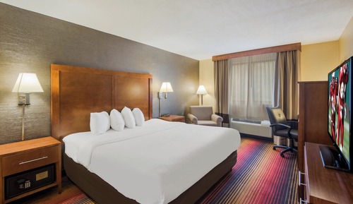 Superior Room, 1 King Bed, Non Smoking