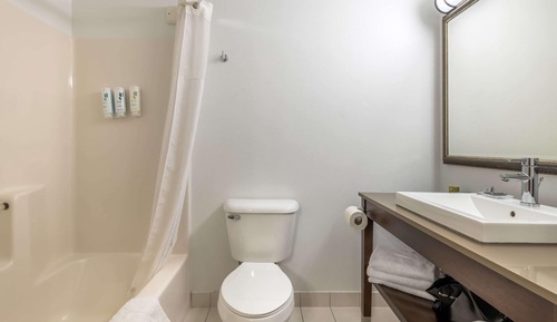 Suite, 1 Bedroom, Non Smoking