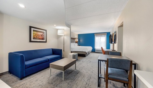 Suite, 1 King Bed with Sofa bed