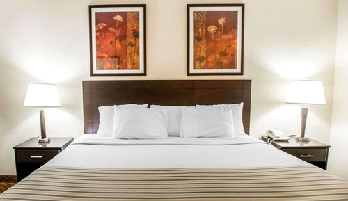 Standard Room, 1 King Bed, Non Smoking
