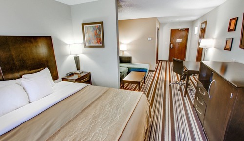 Room, 1 King Bed, Non Smoking, Refrigerator (Upgrade)