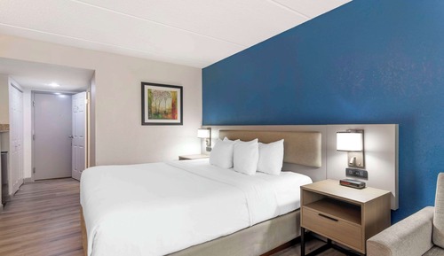Standard Room, 1 King Bed with Sofa bed, Non Smoking
