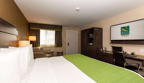 Standard Room, 1 King Bed, Non Smoking