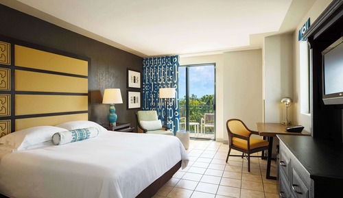 Room, 1 King Bed, Accessible Bathtub (Rainforest Collection)