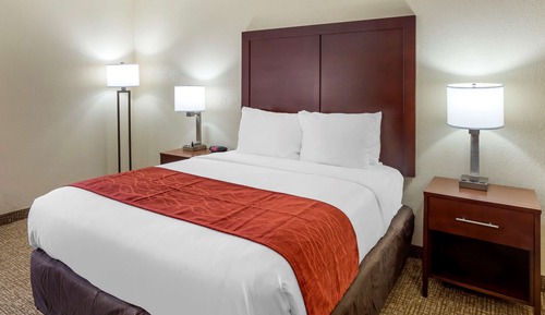 Room, 1 Queen Bed, Accessible, Non Smoking (Roll-In Shower)