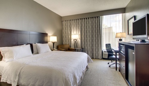 Room, 1 King Bed, Accessible, Non Smoking