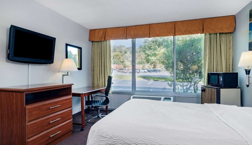 Room, 1 King Bed, Accessible, Non Smoking