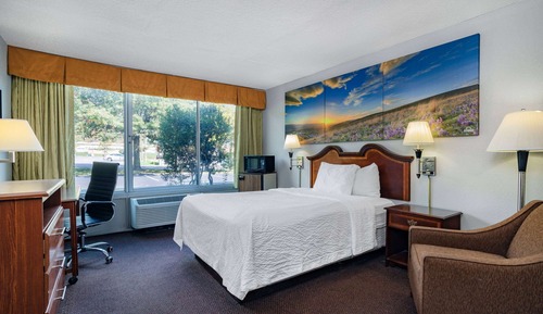Room, 1 Double Bed, Accessible, Non Smoking