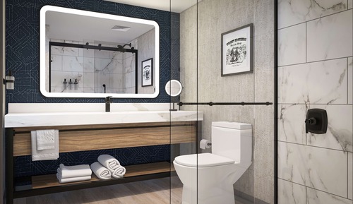 Room, 1 King Bed, Accessible (Mobility & Hearing, Roll-in Shower)
