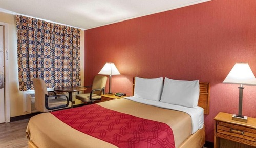 Standard Room, 1 Double Bed