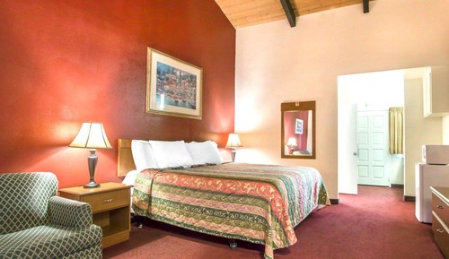 Standard, 1 King Bed, Accessible, Non Smoking (Roll-In Shower)