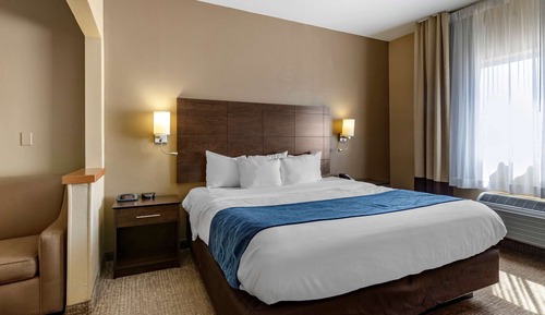 Suite, 1 King Bed with Sofa bed, Non Smoking