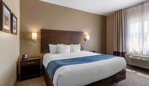 Room, 1 King Bed, Accessible, Non Smoking