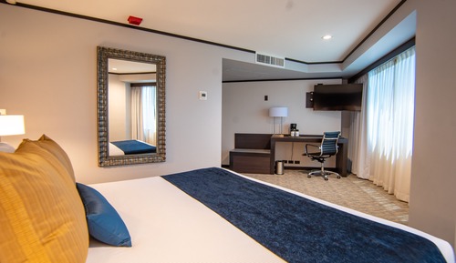 Standard Room, 1 King Bed