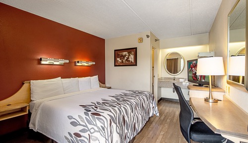 Deluxe Room, 1 King Bed (Smoke Free)