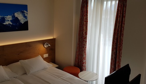 Single Room, 1 Queen Bed