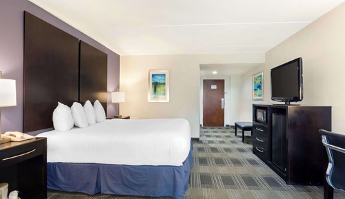 Standard Room, 1 Queen Bed, Accessible, Non Smoking