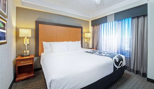 Suite, 1 King Bed