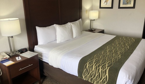 Standard Room, 1 King Bed, Non Smoking