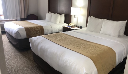 Room, Multiple Beds
