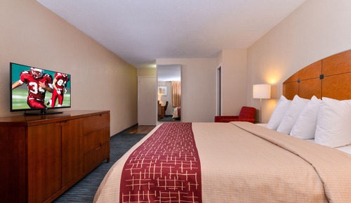 Business Room, 1 King Bed, Smoking