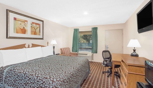 Room, 1 King Bed, Smoking