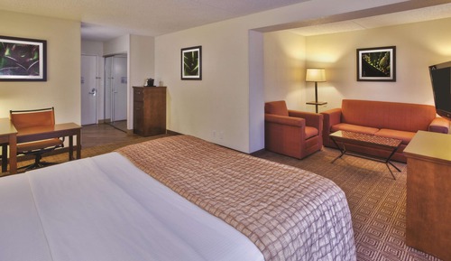 Suite, 1 King Bed, Non Smoking
