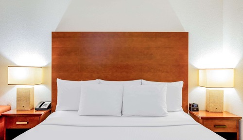 Room, 1 King Bed, Non Smoking