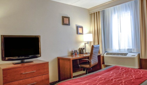 Standard Room, 1 King Bed with Sofa bed, Non Smoking