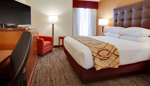Deluxe Room, 1 Queen Bed, Refrigerator & Microwave