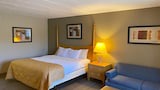 Superior Single Room, 1 King Bed