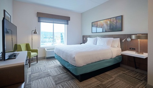 Room, 1 King Bed, Accessible (Mobility & Hearing, 3x3 Shower)