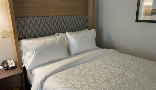 Standard Room, 1 King Bed, Roll-in Shower (Mobility Accessible)