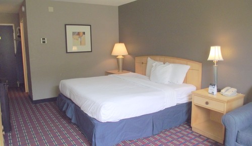 Superior Room, 1 King Bed, Non Smoking