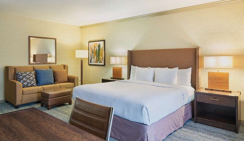 Room, 1 King Bed, Accessible, Bathtub (Mobility & Hearing)