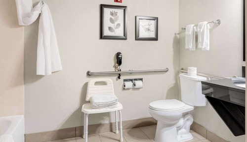 Studio Suite, 1 King Bed, Accessible, Non Smoking (Dog Friendly)