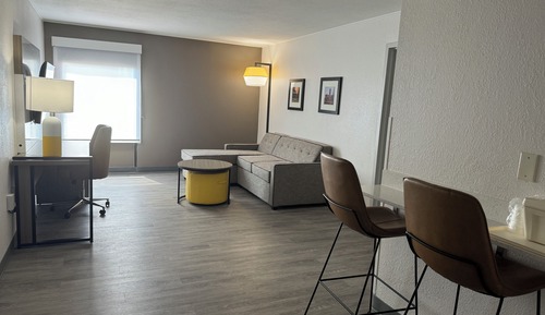 Suite, 1 King Bed with Sofa bed, Non Smoking (Efficiency)