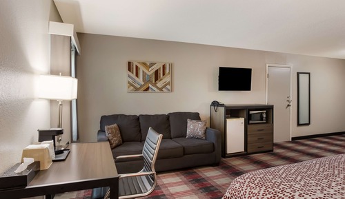 Standard Room, 1 King Bed with Sofa bed, Non Smoking, Refrigerator & Microwave (with Sofabed)