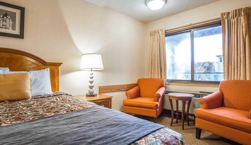 Standard Room, 2 Double Beds, Non Smoking