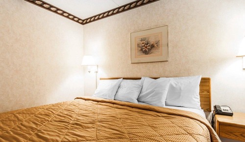 Standard Room, 1 King Bed, Non Smoking