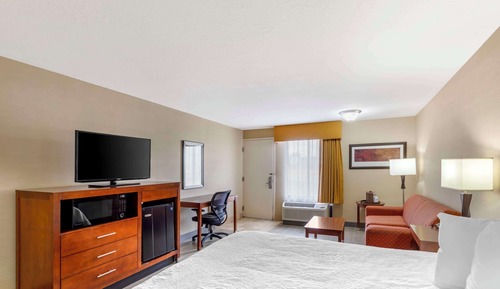 Standard Room, 1 King Bed, Non Smoking (Pet Friendly)