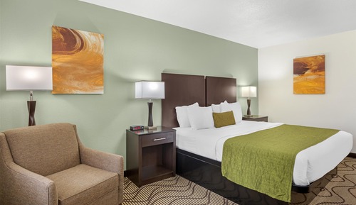 Standard Room, 1 King Bed, Non Smoking, Refrigerator & Microwave